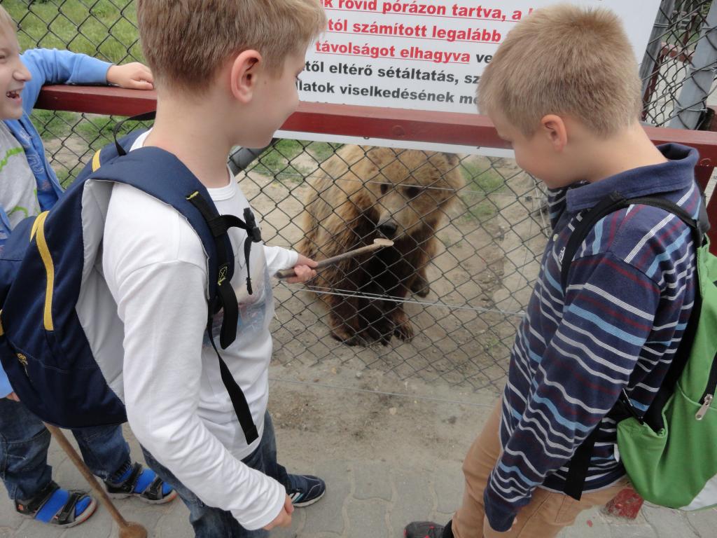 Nyári Tábor - 2015